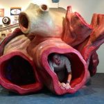 blue-whale-facts-06